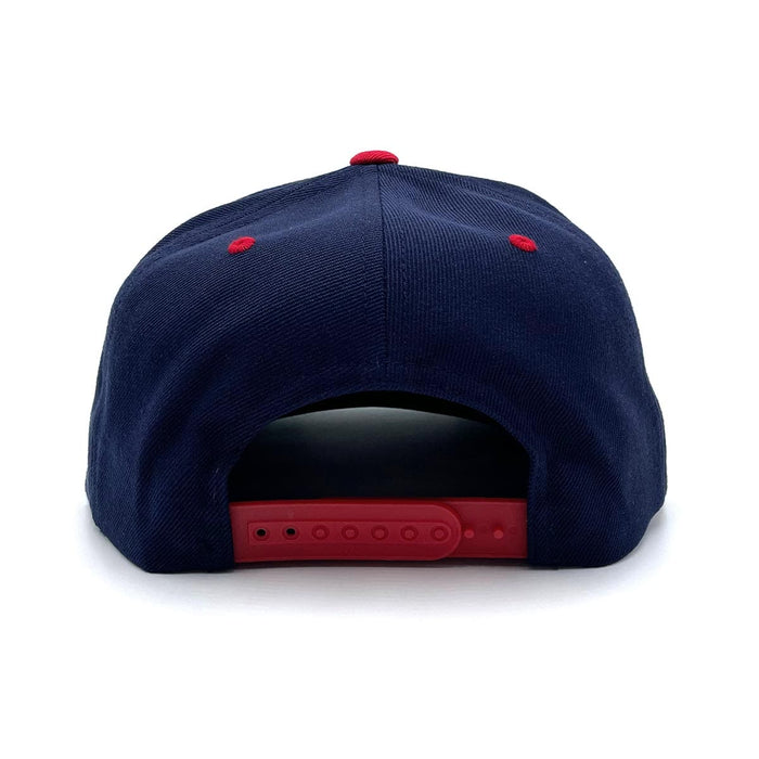 Surfside (Flipt Arch) Snapback Hat