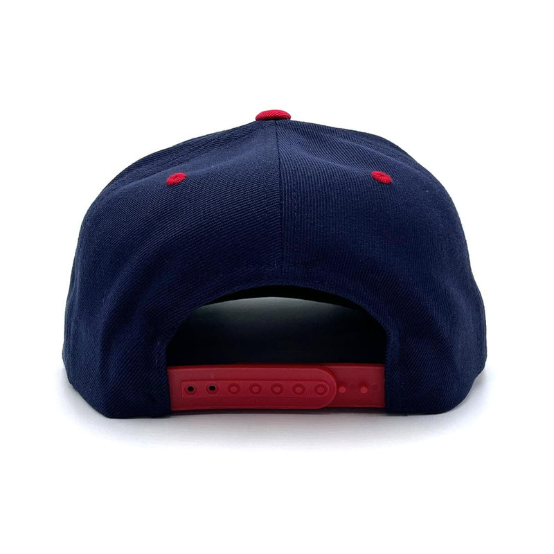 Surfside (Flipt Arch) Snapback Hat