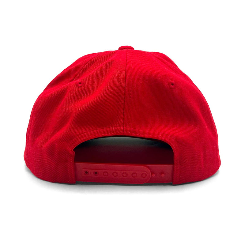 Pawleys Island (Palmetto State) Snapback Hat