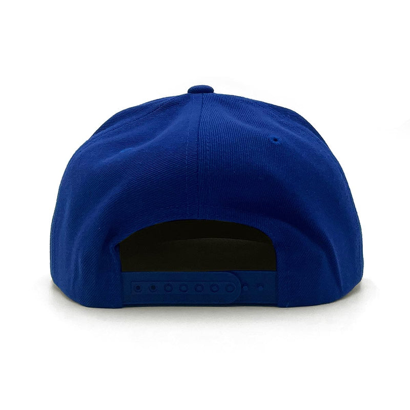 Surfside (Flipt Arch) Snapback Hat