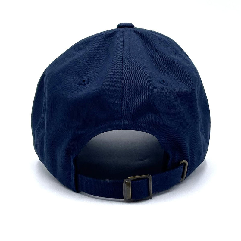 Surfside (Color Arch) Dad Hat