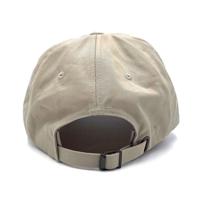 Surfside (Color Arch) Dad Hat