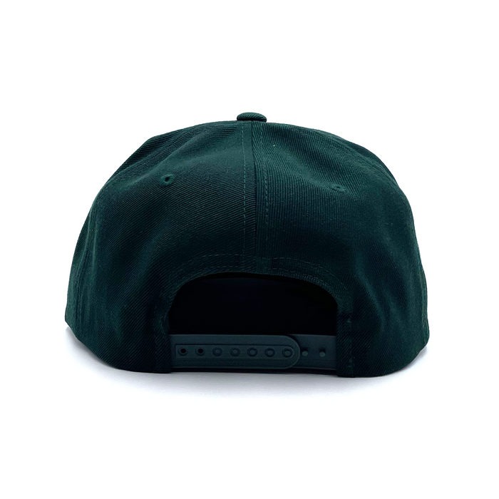 Surfside (Squeeze) Snapback Hat