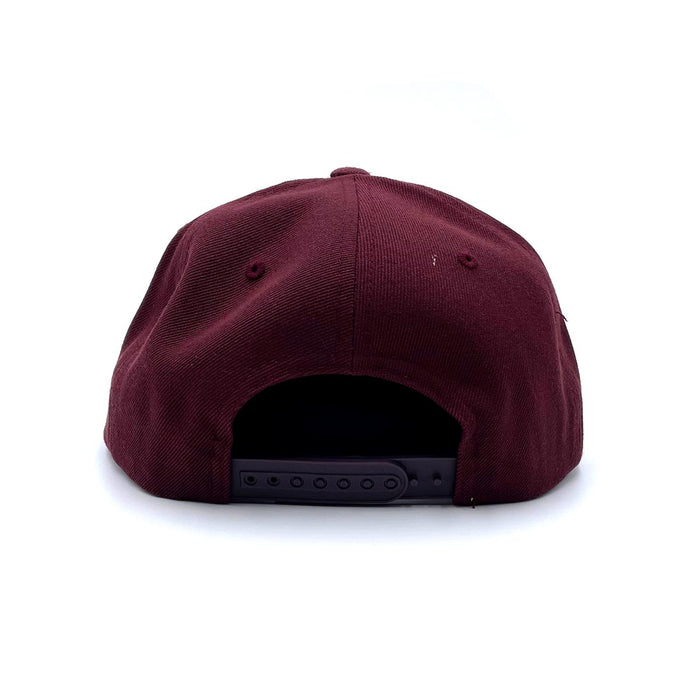 South Carolina (Draft Day) Snapback Hat