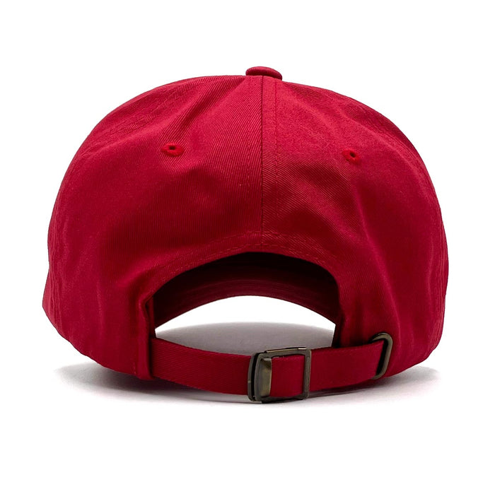 Carolina (Color Arch) Dad Hat