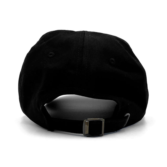 Coastal (Color Arch) Dad Hat