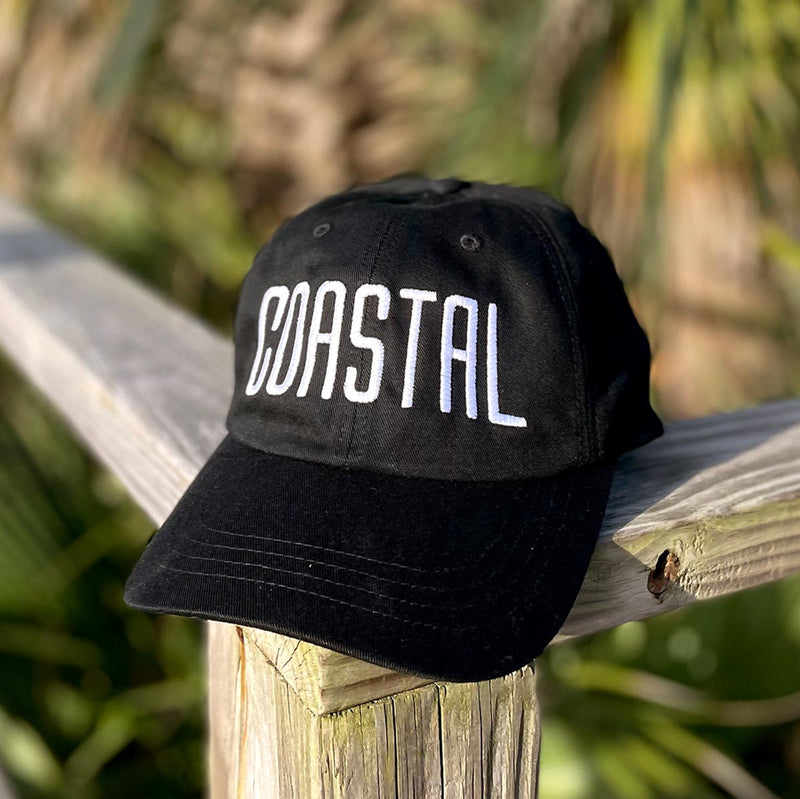 Coastal (Color Arch) Dad Hat