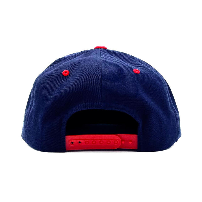 Myrtle Beach (Palmetto State) Snapback Hat