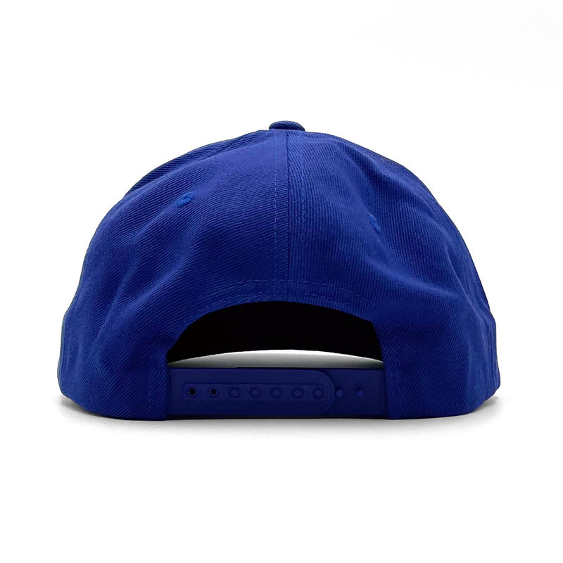 Ocean Drive (Palmetto State) Snapback Hat