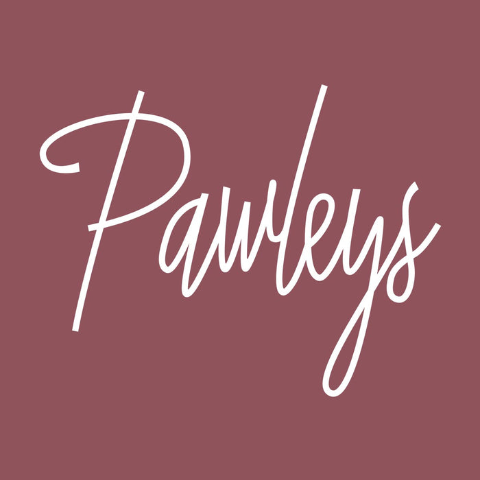 Pawleys (Fancy Like) Comfort Colors Heavyweight T-Shirt