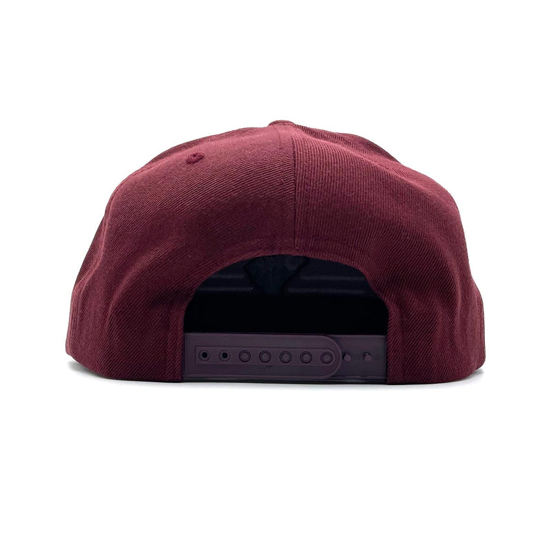 Pawleys Island (Palmetto State) Snapback Hat