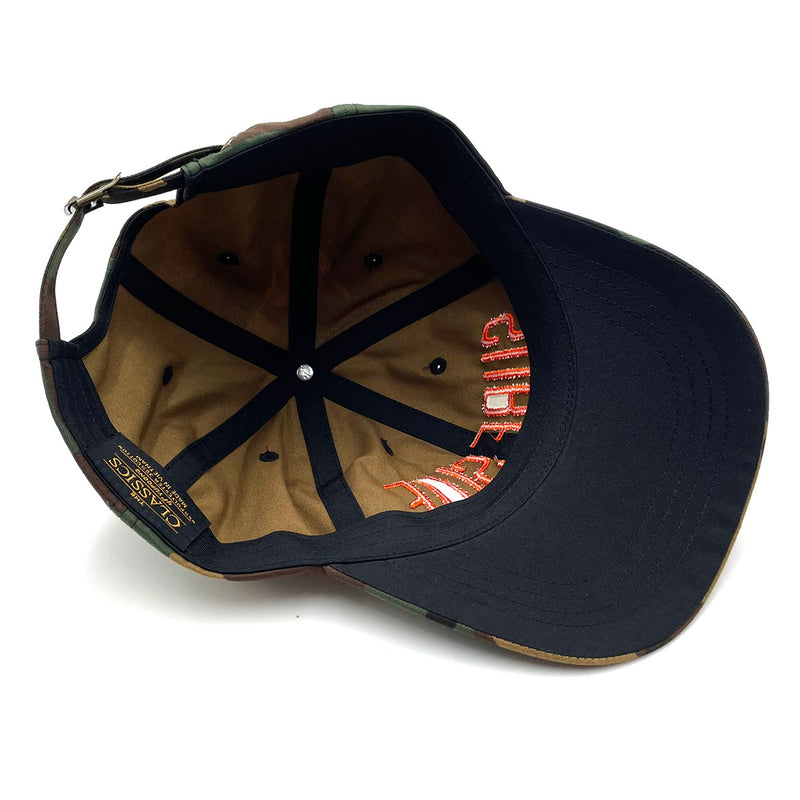 Surfside (Color Arch) Dad Hat