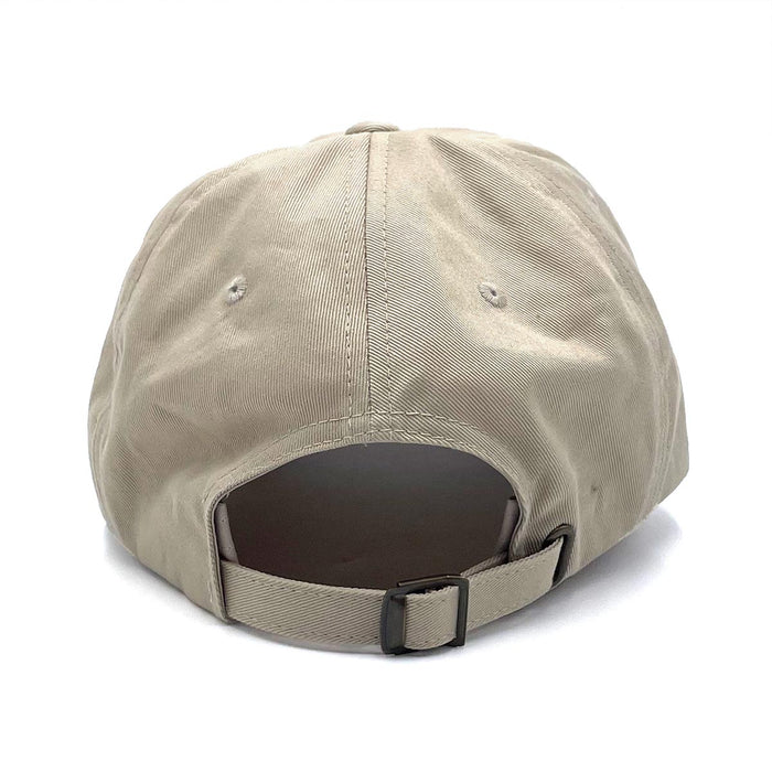 Surfside (Color Arch) Dad Hat