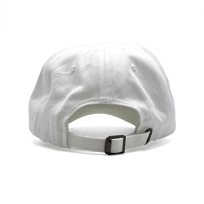 Surfside (Color Arch) Dad Hat