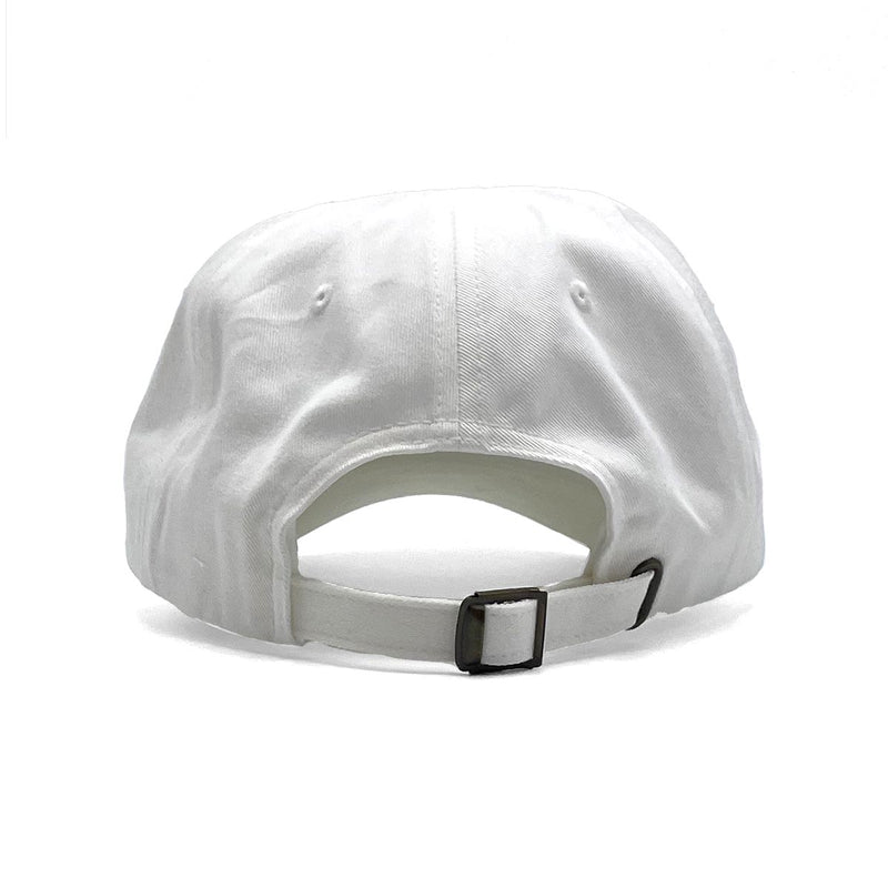 Surfside (Color Arch) Dad Hat