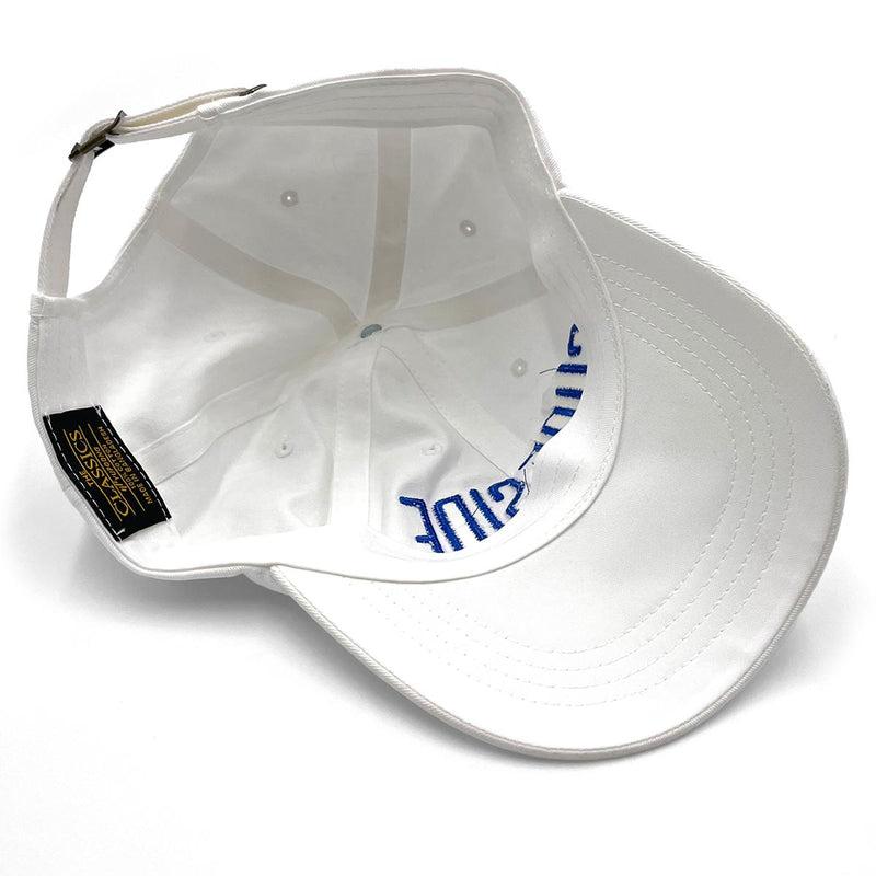 Surfside (Color Arch) Dad Hat