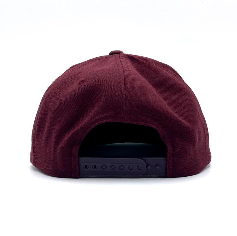 Surfside (Squeeze) Snapback Hat